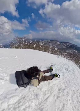 twin tree（ツインツリー）に投稿された画像（2025/1/23）