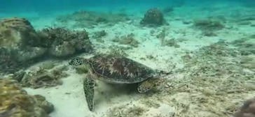 ON SHORE（オンショア）に投稿された画像（2025/1/23）