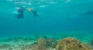 ON SHORE（オンショア）に投稿された画像（2025/1/23）