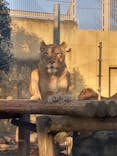 東武動物公園に投稿された画像（2025/1/23）