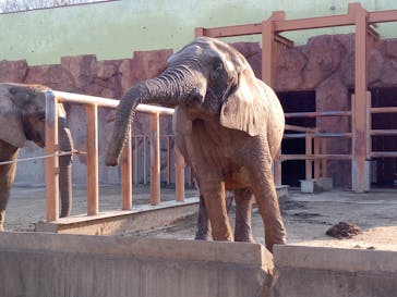 東武動物公園に投稿された画像（2025/1/23）