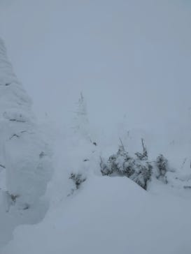 蔵王ロープウェイに投稿された画像（2025/1/23）