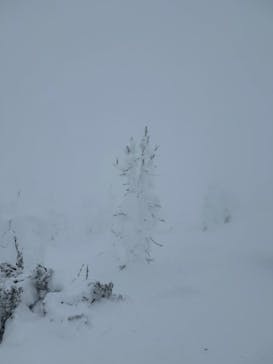 蔵王ロープウェイに投稿された画像（2025/1/23）