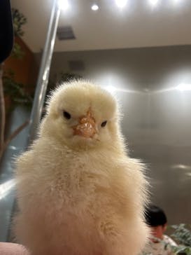 Moff animal cafe イオンモール名取店に投稿された画像（2025/1/23）