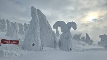 阿仁スキー場に投稿された画像（2025/1/23）