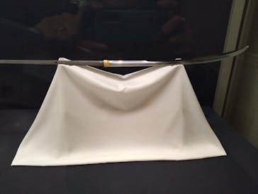 東京国立博物館に投稿された画像（2025/1/23）