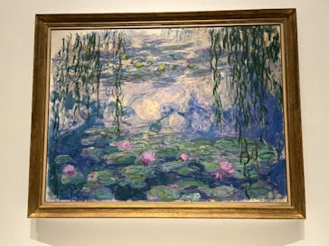 モネ 睡蓮のとき（国立西洋美術館）に投稿された画像（2025/1/23）