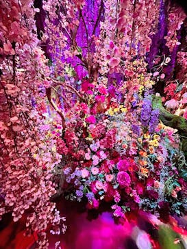 蜷川実花展 with EiM：彼岸の光、此岸の影 NINAGAWA Mika with EiM：Lights of the beyond, Shadows of this worldに投稿された画像（2025/1/23）