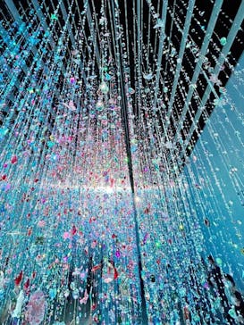 蜷川実花展 with EiM：彼岸の光、此岸の影 NINAGAWA Mika with EiM：Lights of the beyond, Shadows of this worldに投稿された画像（2025/1/23）