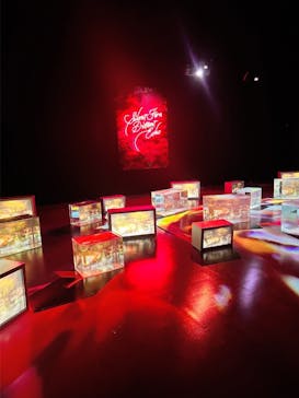 蜷川実花展 with EiM：彼岸の光、此岸の影 NINAGAWA Mika with EiM：Lights of the beyond, Shadows of this worldに投稿された画像（2025/1/23）