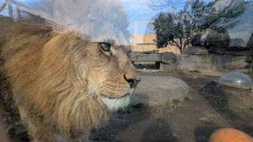 東武動物公園に投稿された画像（2025/1/23）