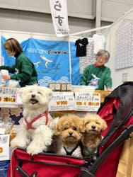 Pet博2026 横浜に投稿された画像（2025/1/23）