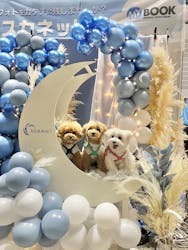 Pet博2026 横浜に投稿された画像（2025/1/23）