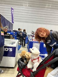 Pet博2026 横浜に投稿された画像（2025/1/23）