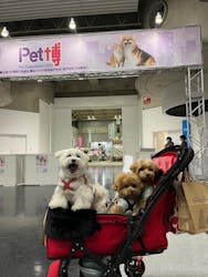 Pet博2026 横浜に投稿された画像（2025/1/23）