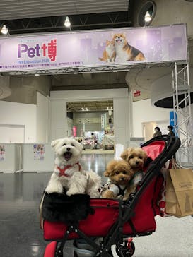 Pet博2026 横浜に投稿された画像（2025/1/23）