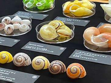 国立科学博物館に投稿された画像（2025/1/23）