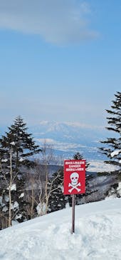 志賀高原焼額山スキー場に投稿された画像（2025/1/23）