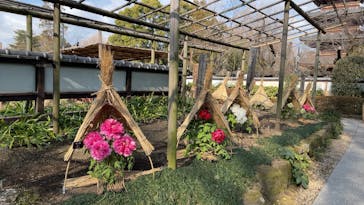 特別展「旧嵯峨御所 大覚寺 －百花繚乱 御所ゆかりの絵画－」（東京国立博物館）に投稿された画像（2025/1/23）