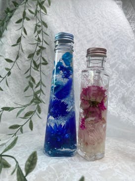 ずこうしつ〜sugamo〜に投稿された画像（2025/1/23）