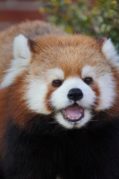 東武動物公園に投稿された画像（2025/1/23）