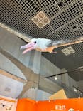 特別展「鳥 ～ゲノム解析が解き明かす新しい鳥類の系統～」国立科学博物館に投稿された画像（2025/1/24）
