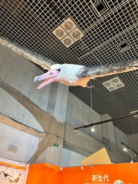特別展「鳥 ～ゲノム解析が解き明かす新しい鳥類の系統～」国立科学博物館に投稿された画像（2025/1/24）