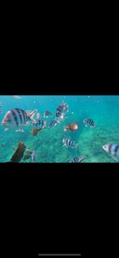 武藤潜水に投稿された画像（2025/1/24）