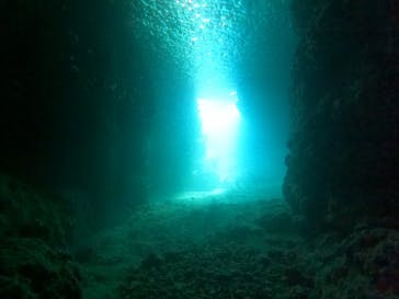 武藤潜水に投稿された画像（2025/1/24）