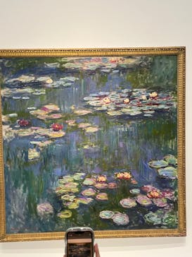 モネ 睡蓮のとき（国立西洋美術館）に投稿された画像（2025/1/24）