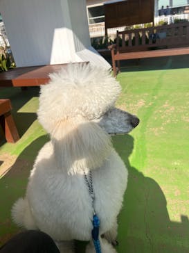 つくばわんわんランドに投稿された画像（2025/1/24）