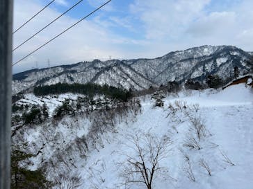 胎内スキー場に投稿された画像（2025/1/24）