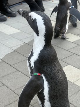 マリンワールド海の中道に投稿された画像（2025/1/24）