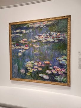 モネ 睡蓮のとき（国立西洋美術館）に投稿された画像（2025/1/24）