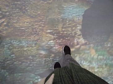 「モネ＆フレンズ・アライブ」神戸展に投稿された画像（2025/1/24）