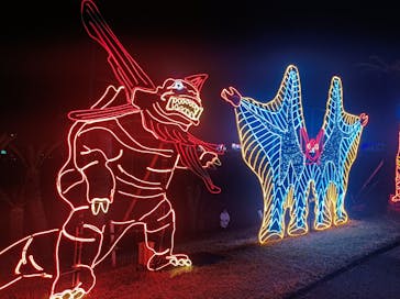 鹿児島イルミナージュに投稿された画像（2025/1/24）