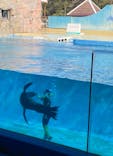 下田海中水族館に投稿された画像（2025/1/24）