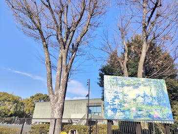 モネ 睡蓮のとき（国立西洋美術館）に投稿された画像（2025/1/24）