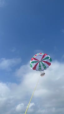 Sea World（シーワールド）に投稿された画像（2025/1/24）