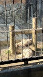 東武動物公園に投稿された画像（2025/1/24）