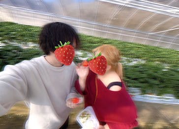 上泉農園に投稿された画像（2025/1/24）