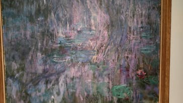 モネ 睡蓮のとき（国立西洋美術館）に投稿された画像（2025/1/24）