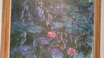 モネ 睡蓮のとき（国立西洋美術館）に投稿された画像（2025/1/24）
