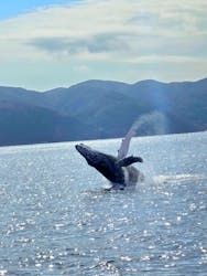 マリンスポーツ奄美に投稿された画像（2025/1/24）