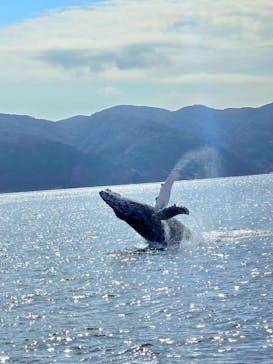 マリンスポーツ奄美に投稿された画像（2025/1/24）