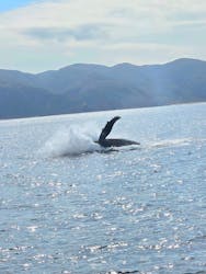 マリンスポーツ奄美に投稿された画像（2025/1/24）