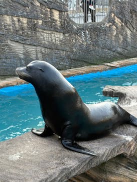 名古屋市東山動植物園に投稿された画像（2025/1/24）