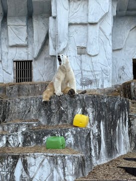 名古屋市東山動植物園に投稿された画像（2025/1/24）