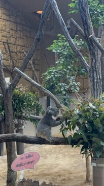 名古屋市東山動植物園に投稿された画像（2025/1/24）