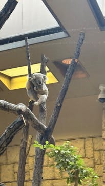 名古屋市東山動植物園に投稿された画像（2025/1/24）